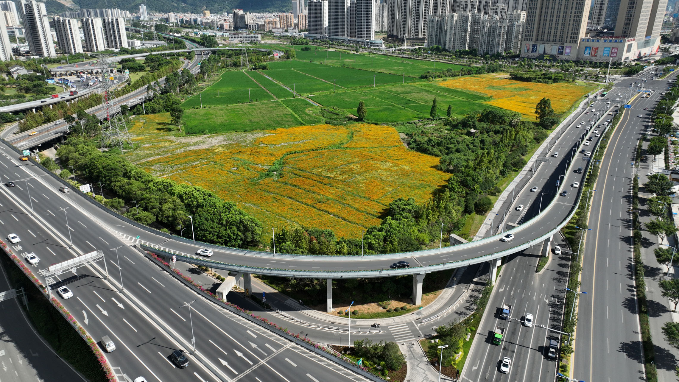 溫州動車南站（寧波路右轉(zhuǎn)匝道）鋼橋.JPG